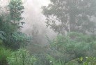 Lawloitlandscaping-irrigation-4.jpg; ?>